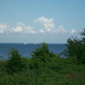 Meet your Posher, Ellen